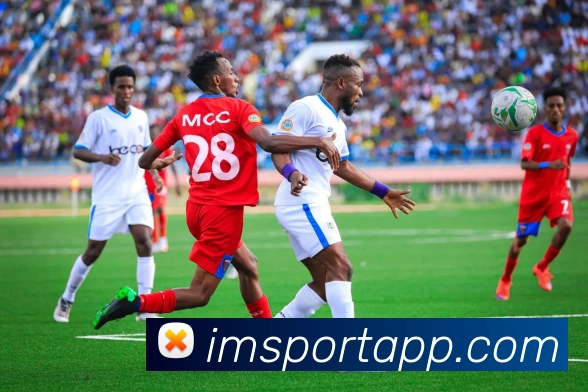 IM足球体育平台生态图