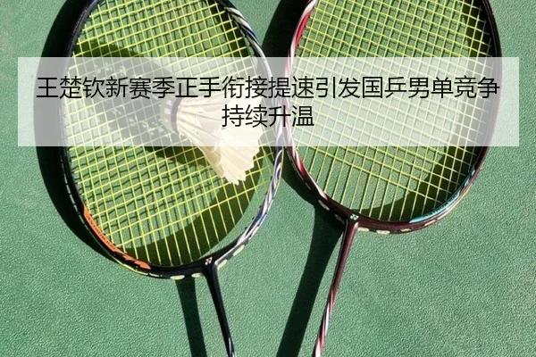 王楚钦新赛季正手衔接提速引发国乒男单竞争持续升温 | IMSPORTS